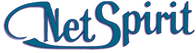 Netspirit-Logo