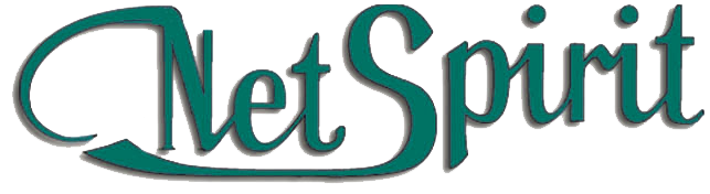 Logotyp Netspirit