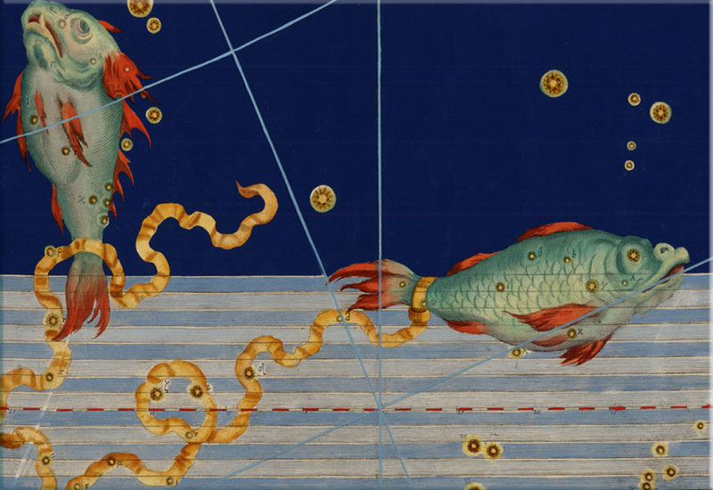 Horoskop | Fische, Fische | Wochenhoroskop